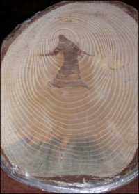 wooden-jesus.jpg