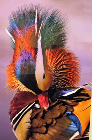 wisewebwomans-new-look wisewebwomans-new-look