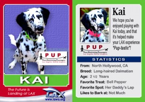 PUP Kai card